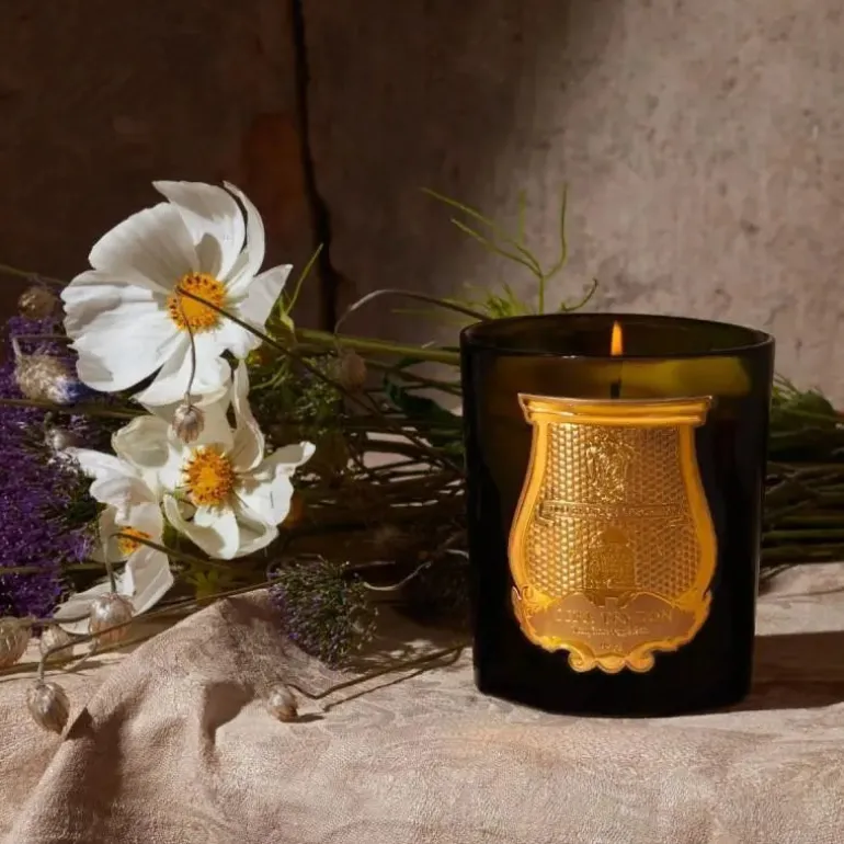 Spiritus Sancti Candela - Candela - TRUDON